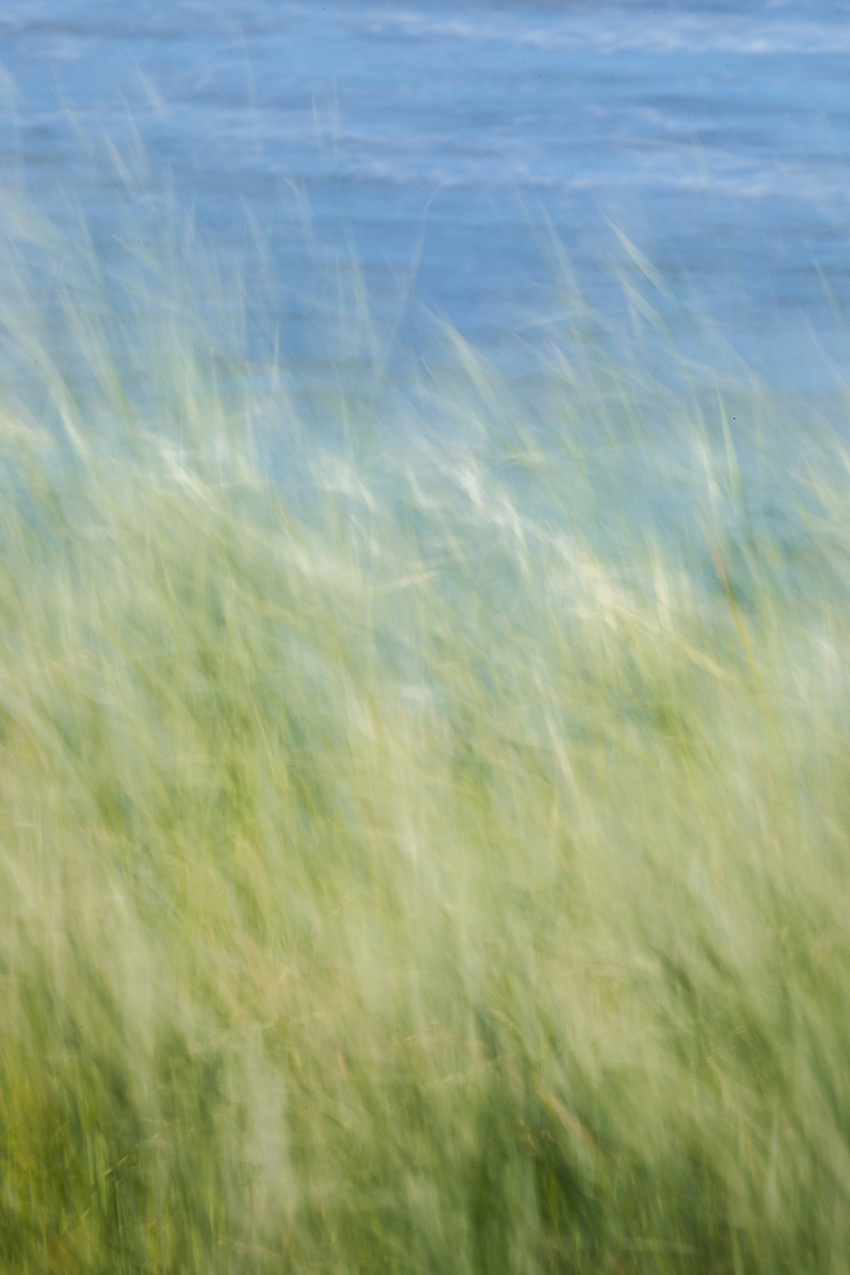 風にたなびく野