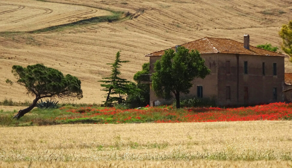 トスカナ地方の麦畑と民家